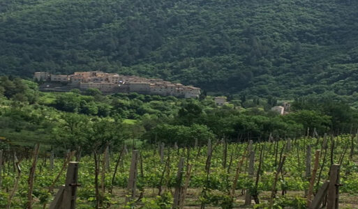 Perché escludere la montagna dalla vitivinicoltura?