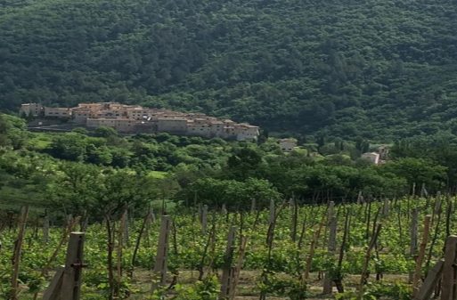 Perché escludere la montagna dalla vitivinicoltura?