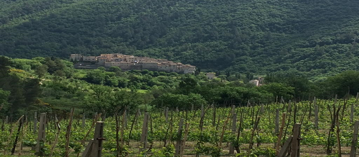 Perché escludere la montagna dalla vitivinicoltura?